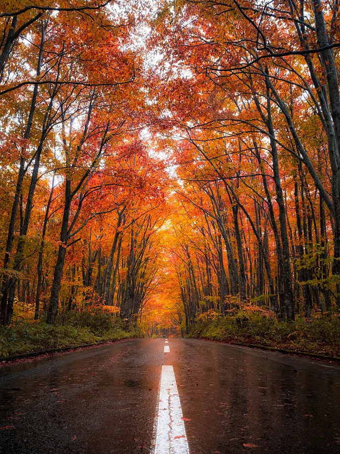 15dc72ff3ce80696b24fcf5ba53d3492-sz_1389365-1