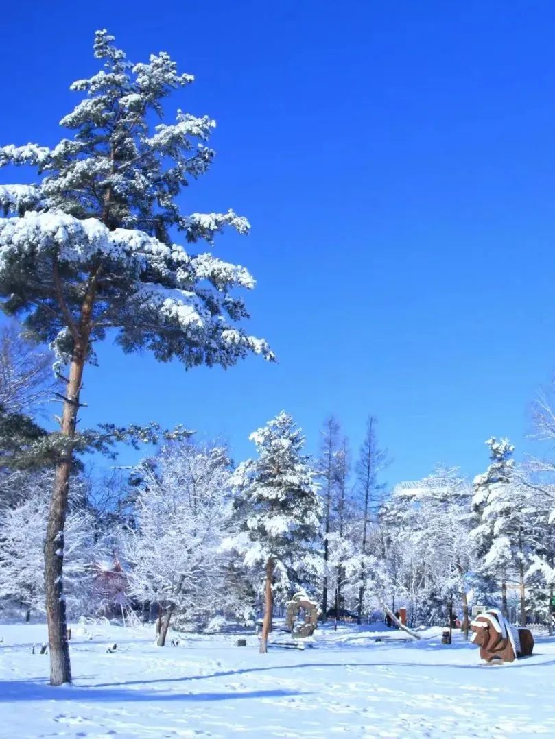 1726802625_1607879193