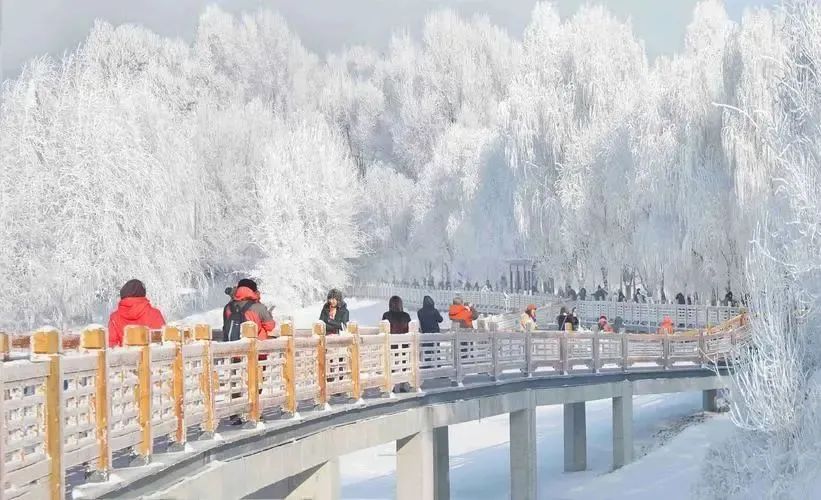 1726802627_921923703