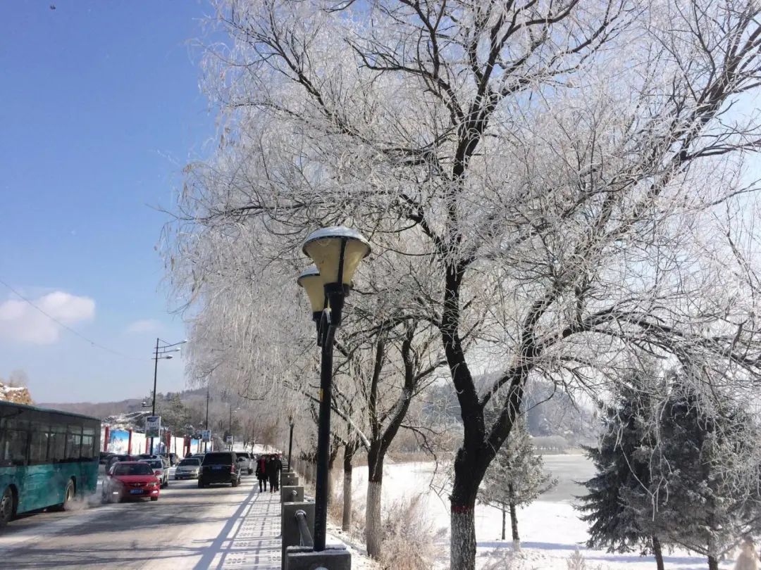 1726802641_1477564667