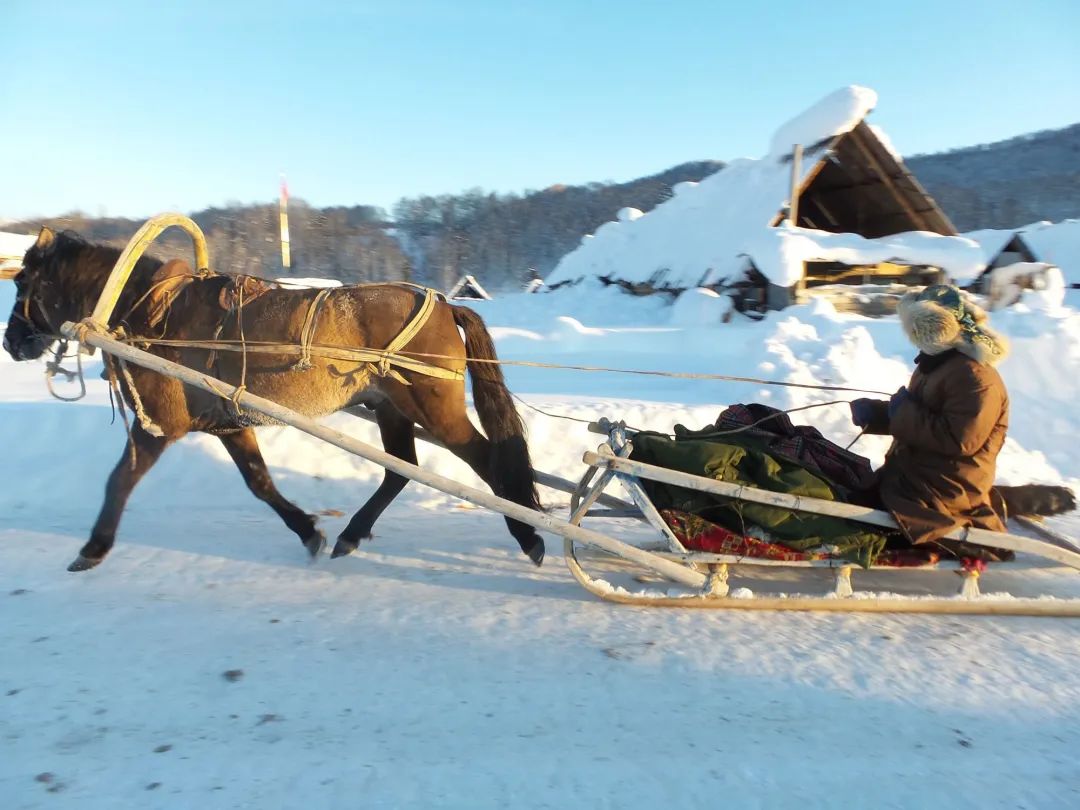 1726802648_1963141914