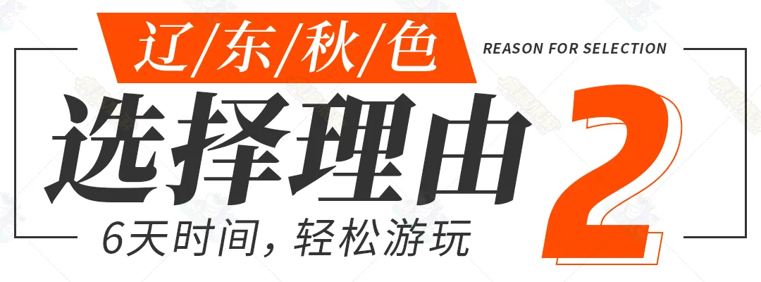 172bf751215af3439c9843fb8707f5c6-sz_201282-1
