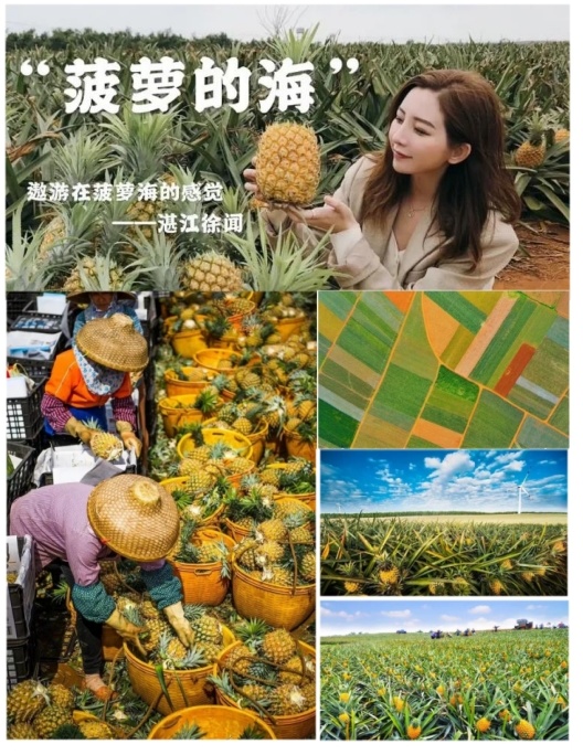 1757067252621_26Ecx73t