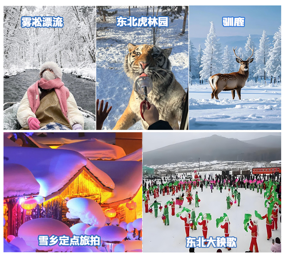 1758611602737xsmsafj