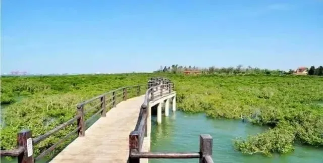 197946bcb4c8ed915abd209da82e2938-sz_35170 197946bcb4c8ed915abd209da82e2938-sz_35170