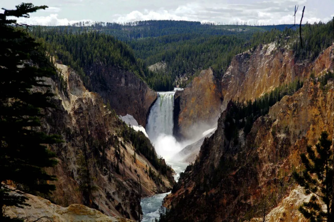 1a71ac8a9f6e9482ed2a02d1f61b2fa2-sz_358512