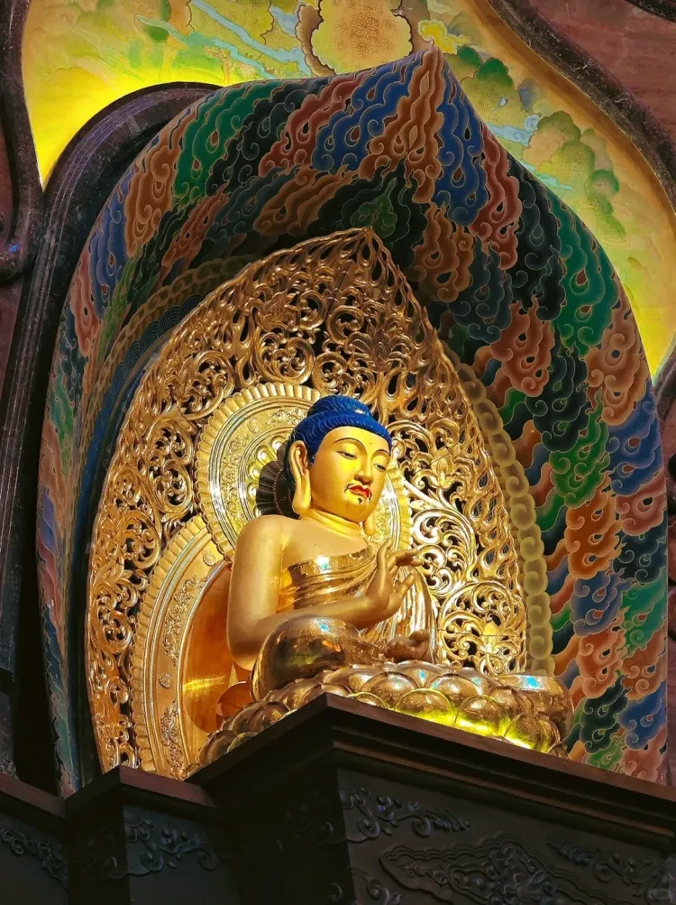 1ac8a9c5c8581c16075b694f7f4e12ad-sz_3687606