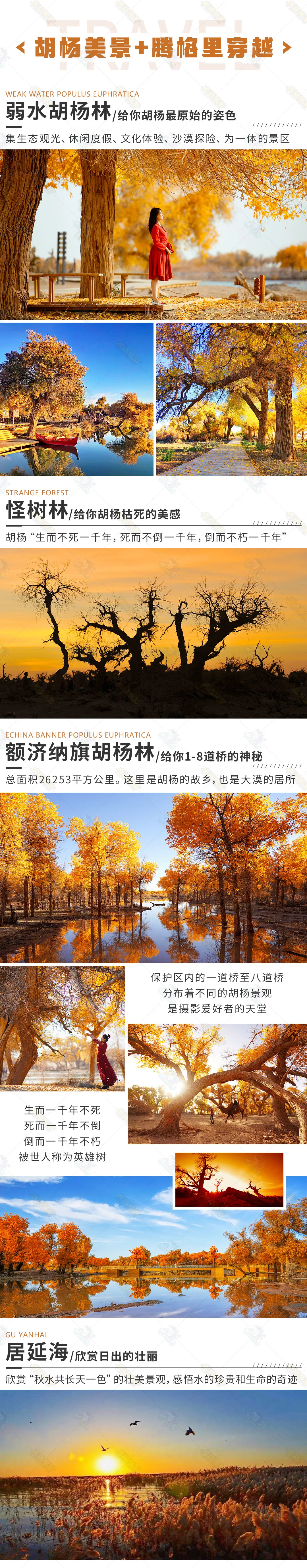 1d01d904c87828151c290874a811b0ad-sz_3625644