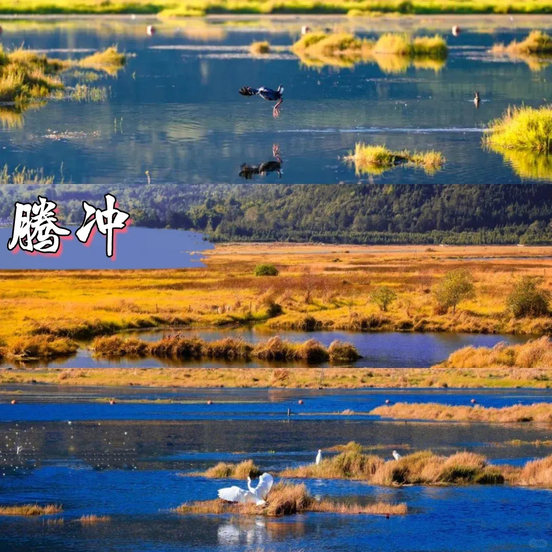 纯玩自组～30人精品团！去腾冲！中国温泉之都！「金牌腾冲」双飞双动6日+赠表演！餐标40人～住网评四钻升1晚温泉酒店