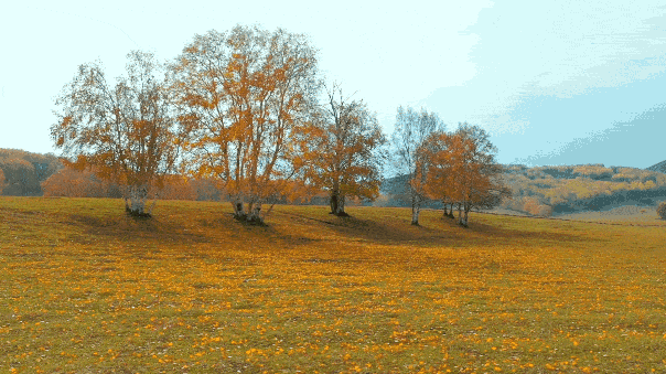 1f4e67d5a6f839bf9e1b436d392b98ce-sz_8133045