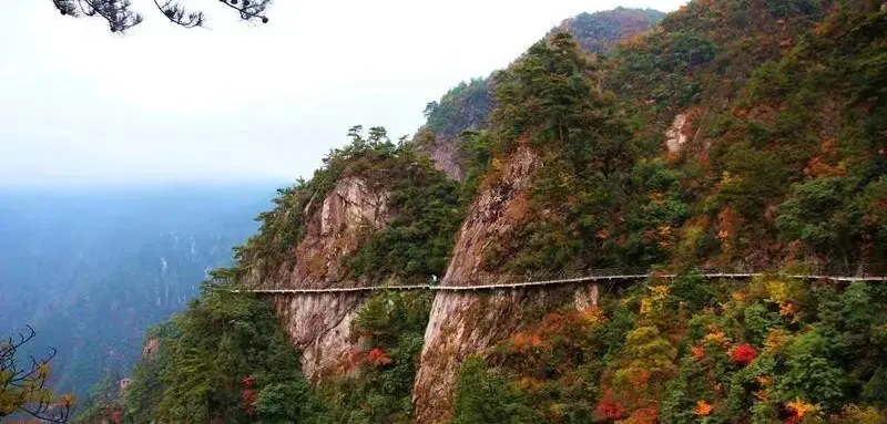 【秋游大明山★赏枫指南村】399元全含跟车纯玩 赠113元大明山门票+小交通 两晚连住临安带电梯精品农家 2早4正 餐餐升级12菜1汤 尊享三日游