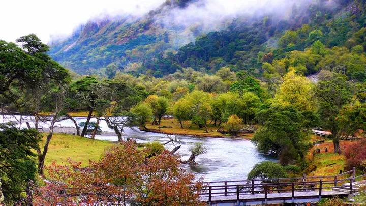 1ff47a60d89bf0da552c0c2f2ecb929a-sz_296963 1ff47a60d89bf0da552c0c2f2ecb929a-sz_296963