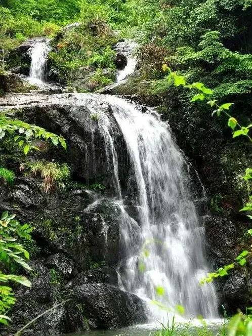 207ae7fdb484656ae3f6ad650c58eb9e-sz_134556 207ae7fdb484656ae3f6ad650c58eb9e-sz_134556