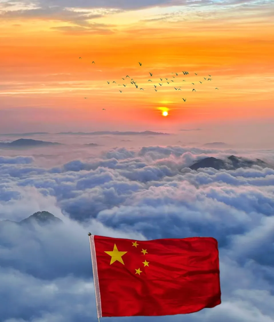 21e580b45b754dc6bf3e66ad0b6b722d-sz_287016