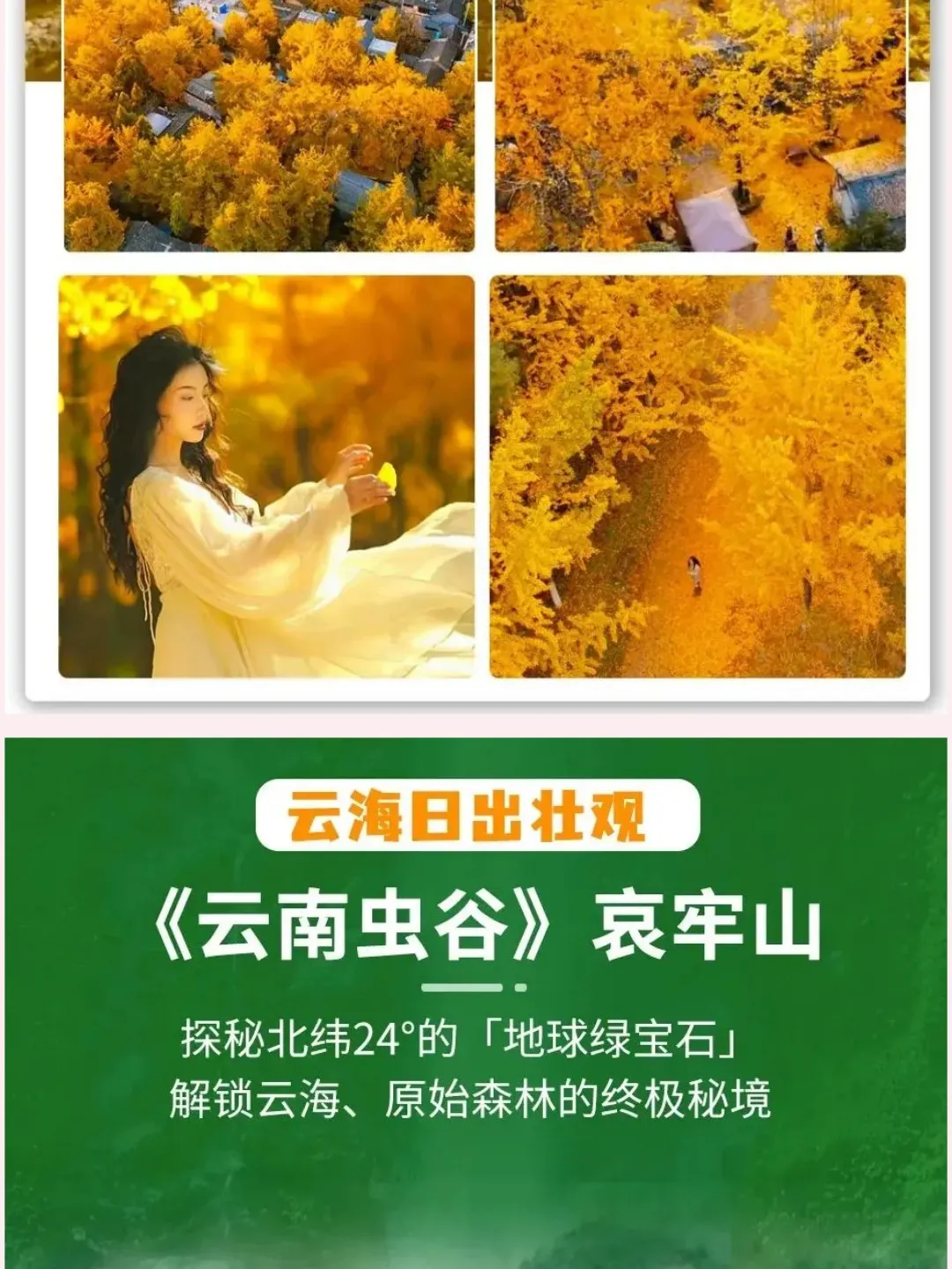 23f8b5cc2c7e1ed719fa0da649fdef64-sz_312757