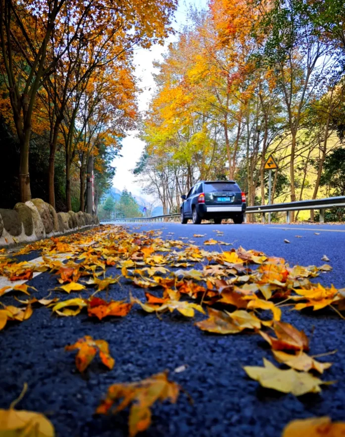 25b0328c3ba5536825fad0730c4b56d3-sz_1347438-1