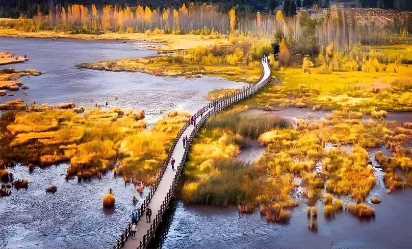 26077ed0802d57ab9f6c51b0fb8591af-sz_1231674