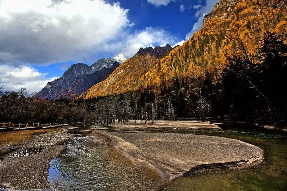 2608d91b59c1f8df73669504f342c58f-sz_1552616 2608d91b59c1f8df73669504f342c58f-sz_1552616