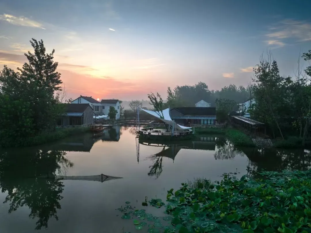 268cf3bcc26767477041e38de7221615-sz_490188