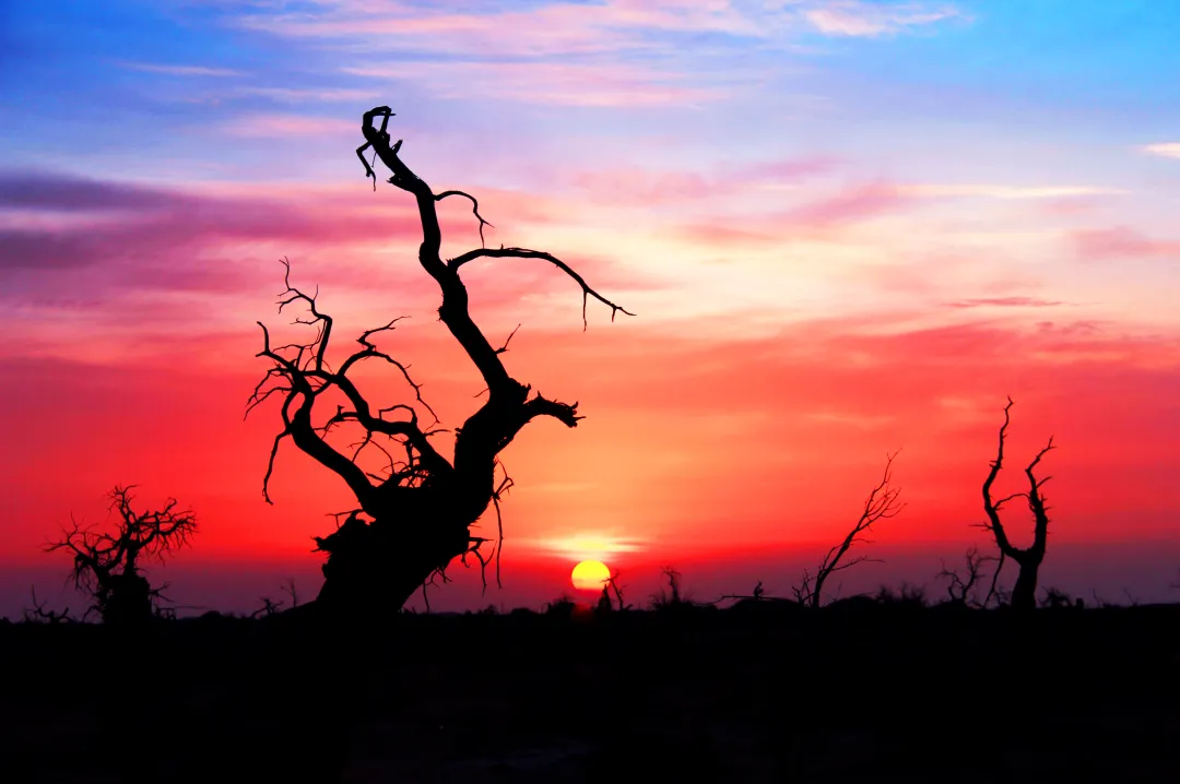 290ae48341d8864f237c29ccafcdf390-sz_9714329-1 290ae48341d8864f237c29ccafcdf390-sz_9714329-1