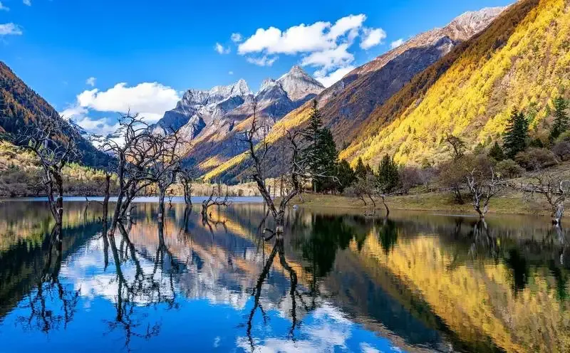 2a6bb5e7eeafaac821bd9b77c9576fe7-sz_1123067-1 2a6bb5e7eeafaac821bd9b77c9576fe7-sz_1123067-1