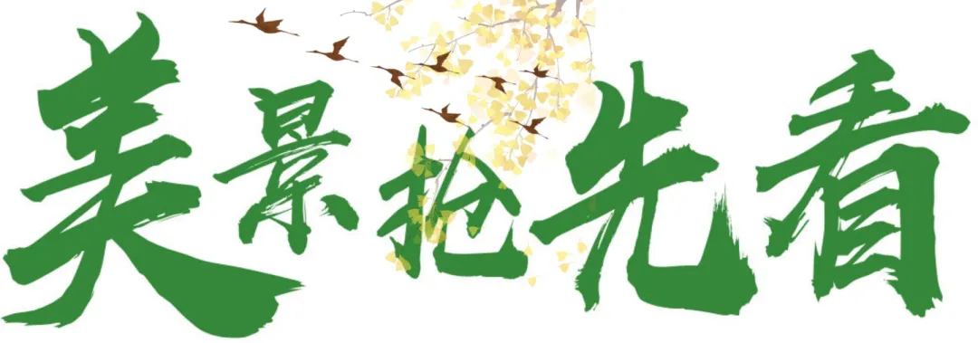 2ca55be3dee861fc132273a3527f8857-sz_142338