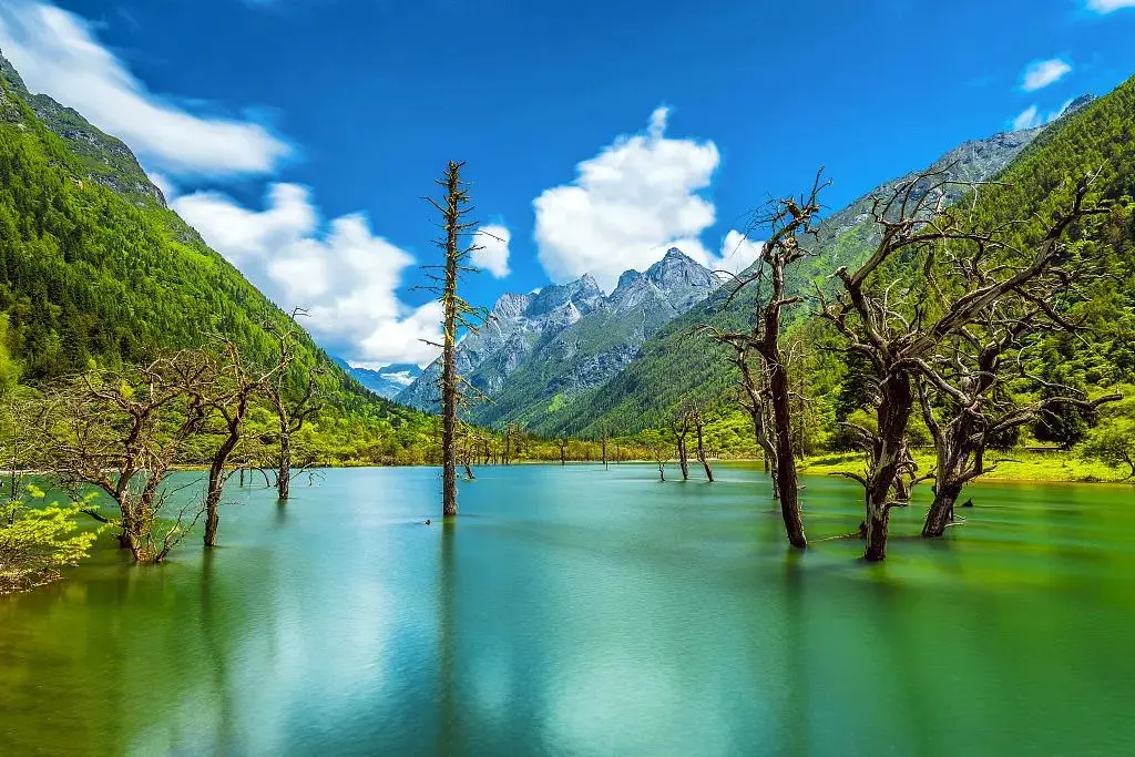 2f14c1a9518a5c117e4b5d5422779402-sz_158332 2f14c1a9518a5c117e4b5d5422779402-sz_158332