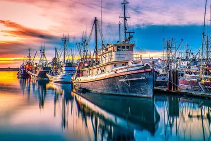 306eb6fa7857c46b41bbb391c966a06c-sz_39714