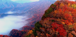 【深秋绮梦•光雾看山】¥3080/人起，2晚携程4钻+4晚携程3钻酒店.光雾山+龙头山深度体验-错过在等一年，切位航班双飞7日游