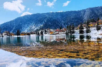 3171d5dd4bc8032d3e732da518c7f689-sz_222557 3171d5dd4bc8032d3e732da518c7f689-sz_222557