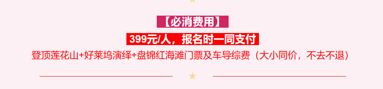 338f8e4d3a538d872c5401d6b7492bf5