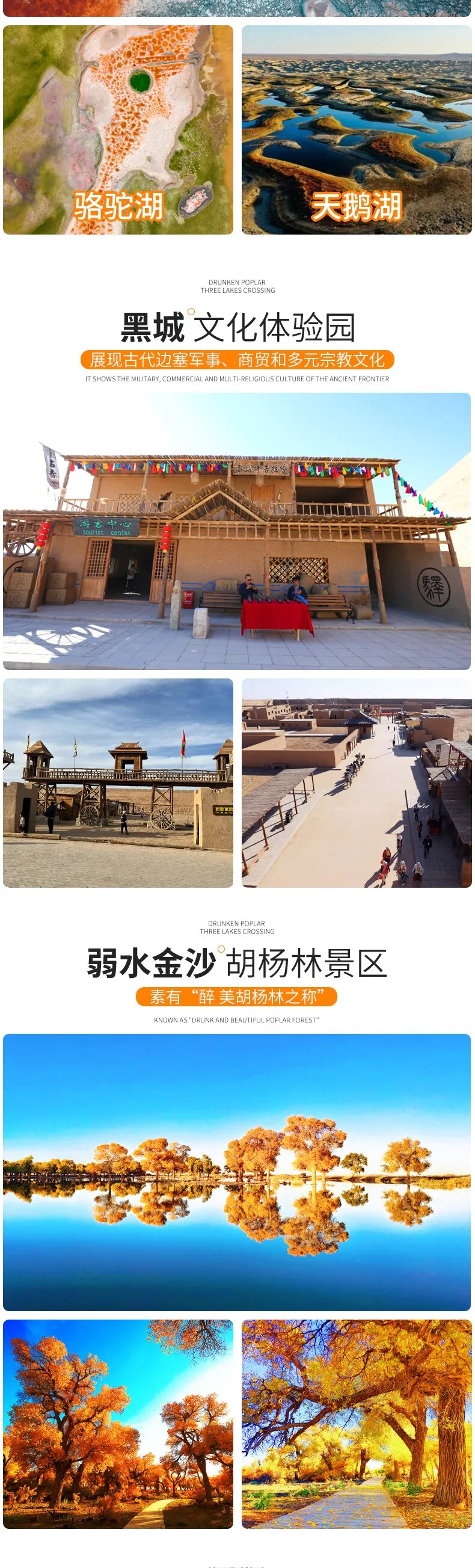 3573bad1cbf1e8e3a65d4ec26b47b979-sz_515516 3573bad1cbf1e8e3a65d4ec26b47b979-sz_515516