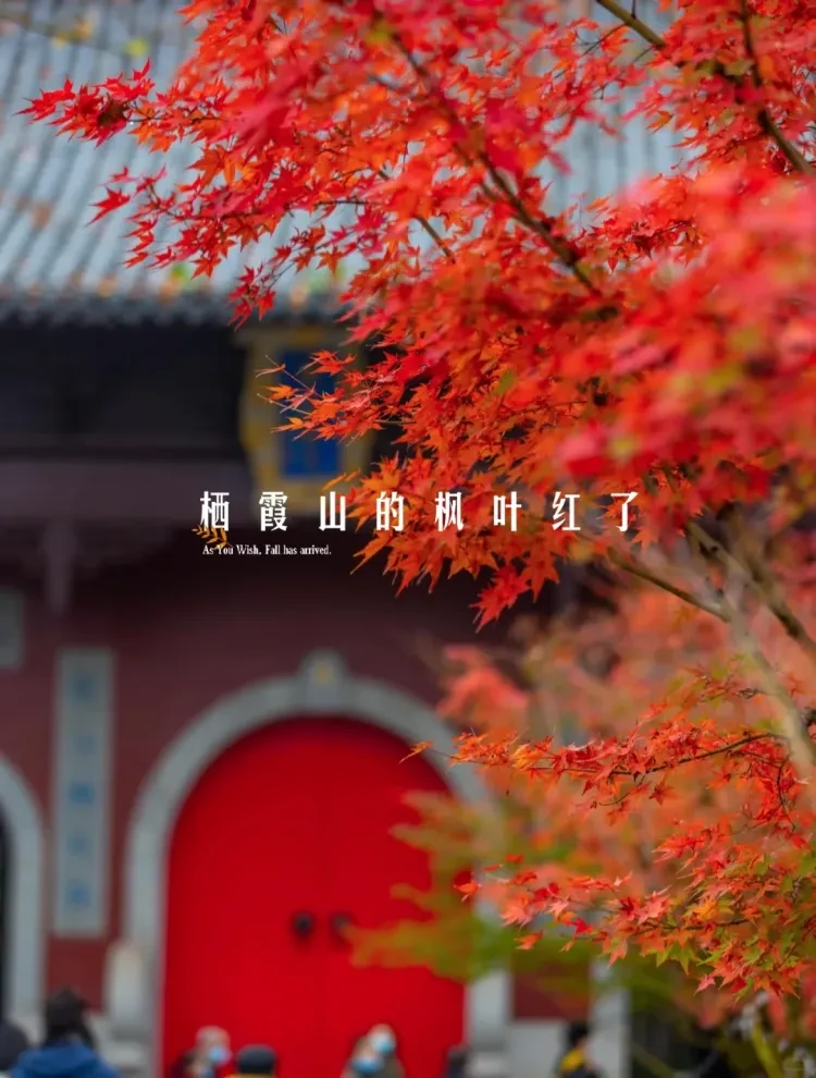 3618481f0cabff93e357d1b2fa0b3b7f-sz_3006990