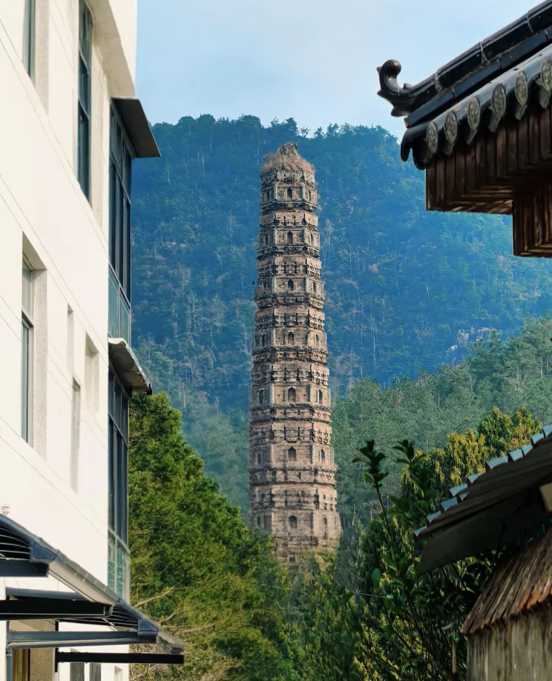 36c0e9420c519415e69113e09b851e80-sz_1498064