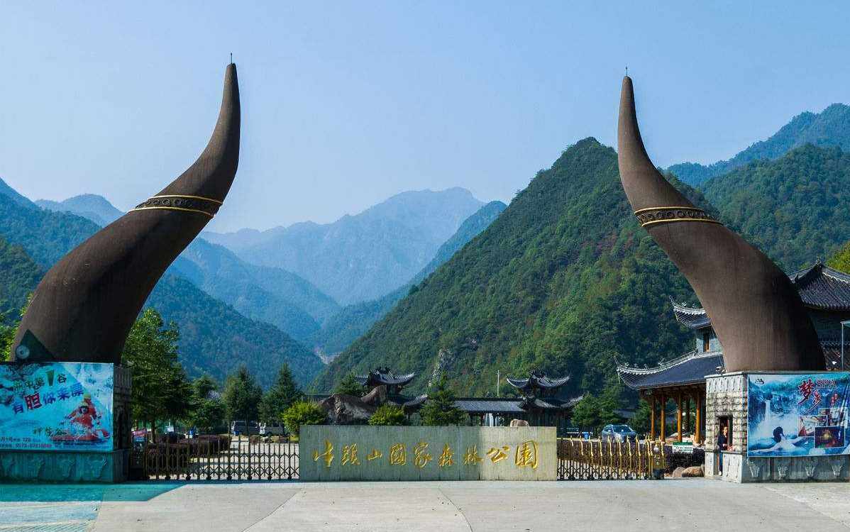 381b08e471447c5d08918b77253b316c-sz_91654-3