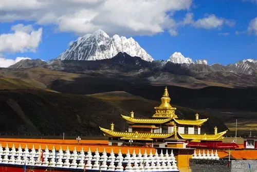 39184637843e4933a650ddbc13f6db16-sz_334125 39184637843e4933a650ddbc13f6db16-sz_334125