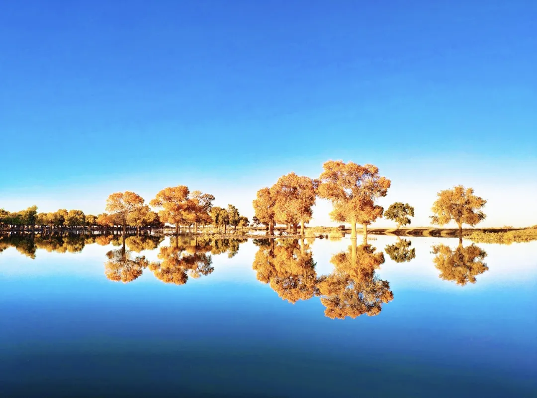 3a903fdf6a09b409b63aefd9737b1c1f-sz_413501-1 3a903fdf6a09b409b63aefd9737b1c1f-sz_413501-1