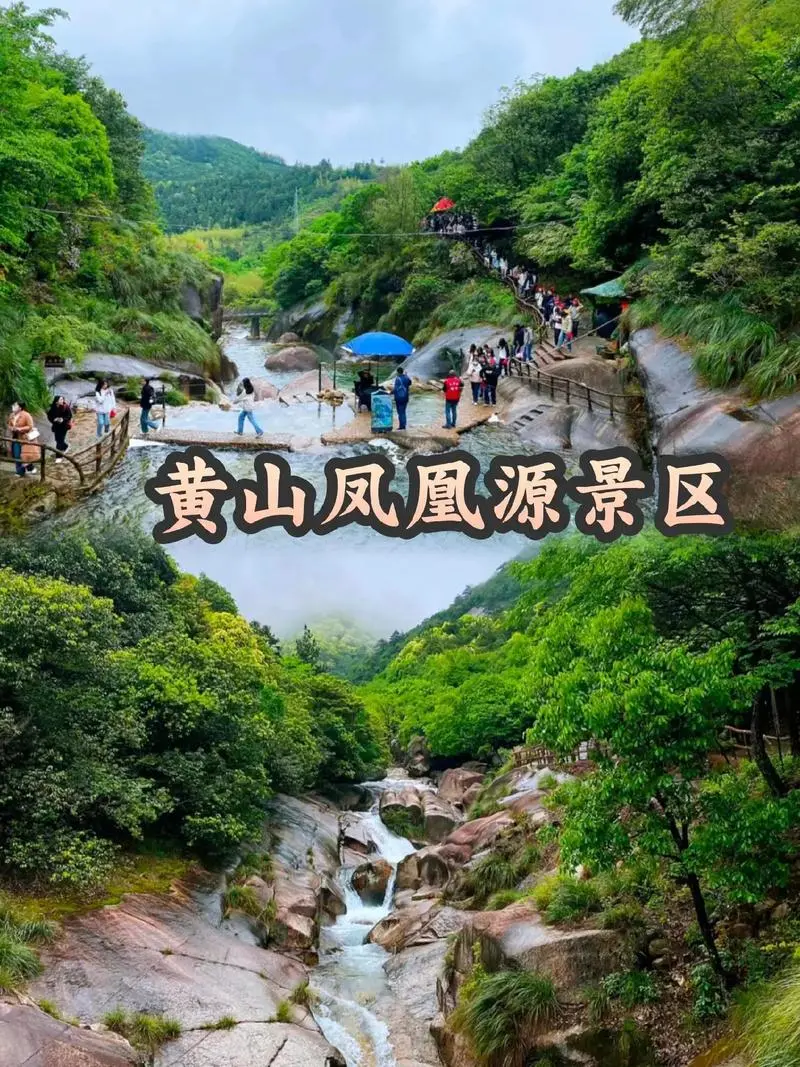 国庆黄山【699元/人黄山徽州全景纯玩汽车5天4晚】-4晚入住黄山舒适型酒店-含4早6正-免费唱歌