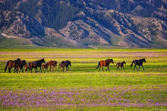 3b2cc325cd84683d6294815045b2ebc3-sz_263654-3 3b2cc325cd84683d6294815045b2ebc3-sz_263654-3