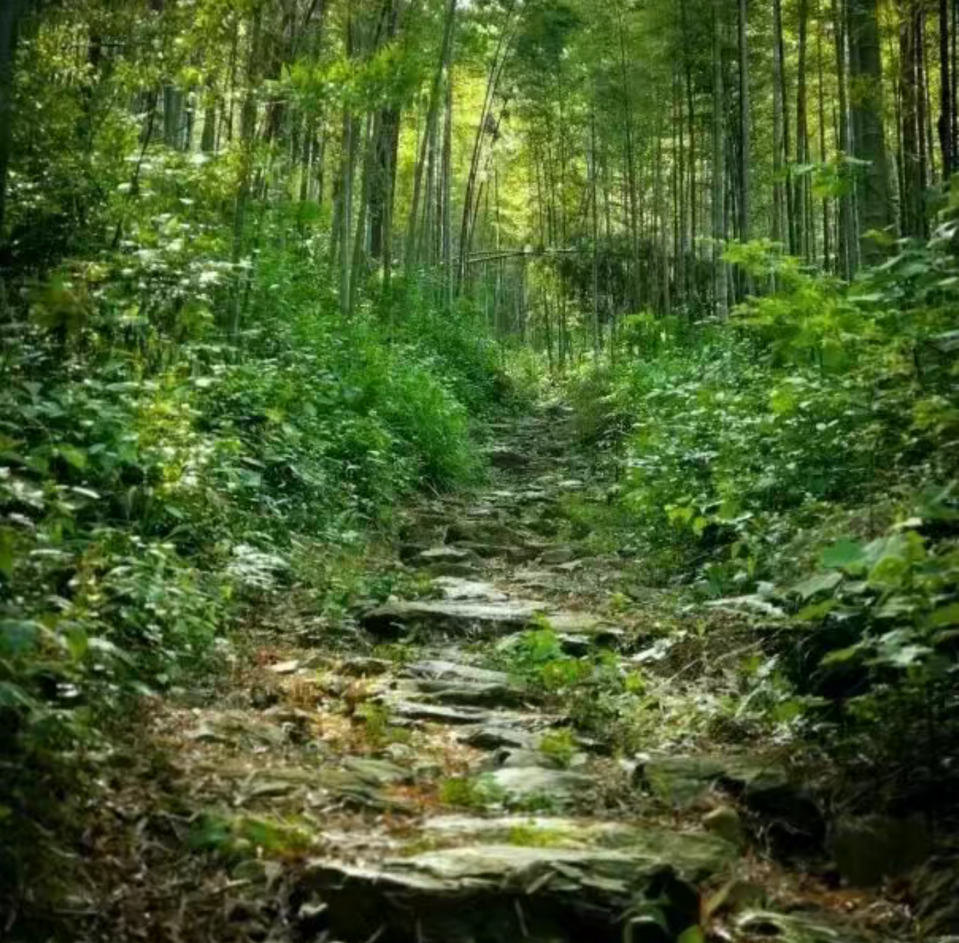 3eb1bbc5020899012d6c6e190cfecc3c