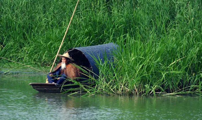 41ad7e426f85f1e1485728a2187bd944-sz_711121-1