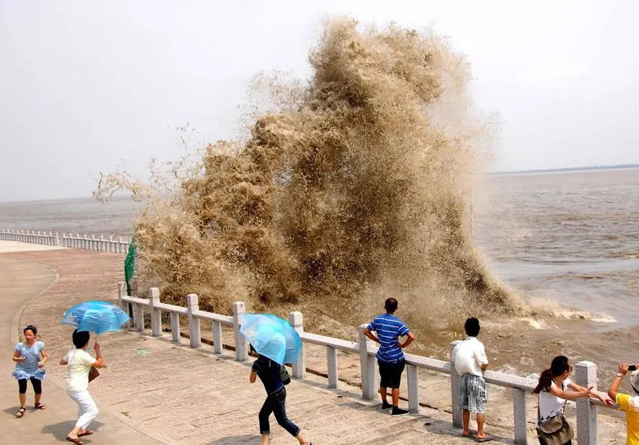 41cb500f73d399e0f93fc9905e82a330-sz_111220-3 41cb500f73d399e0f93fc9905e82a330-sz_111220-3