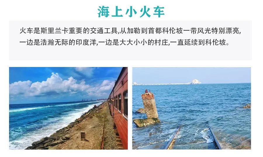 向南飞~经典再现•斯里兰卡7天5晚跟团游