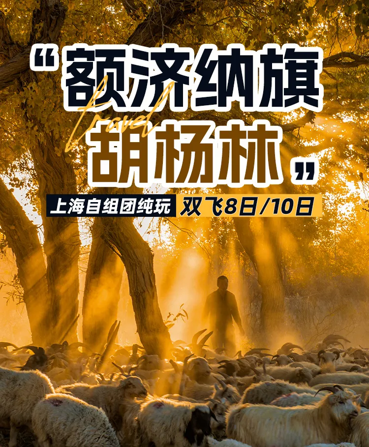 42d04a82645b1ffe37377f0a8debebbb-sz_894299