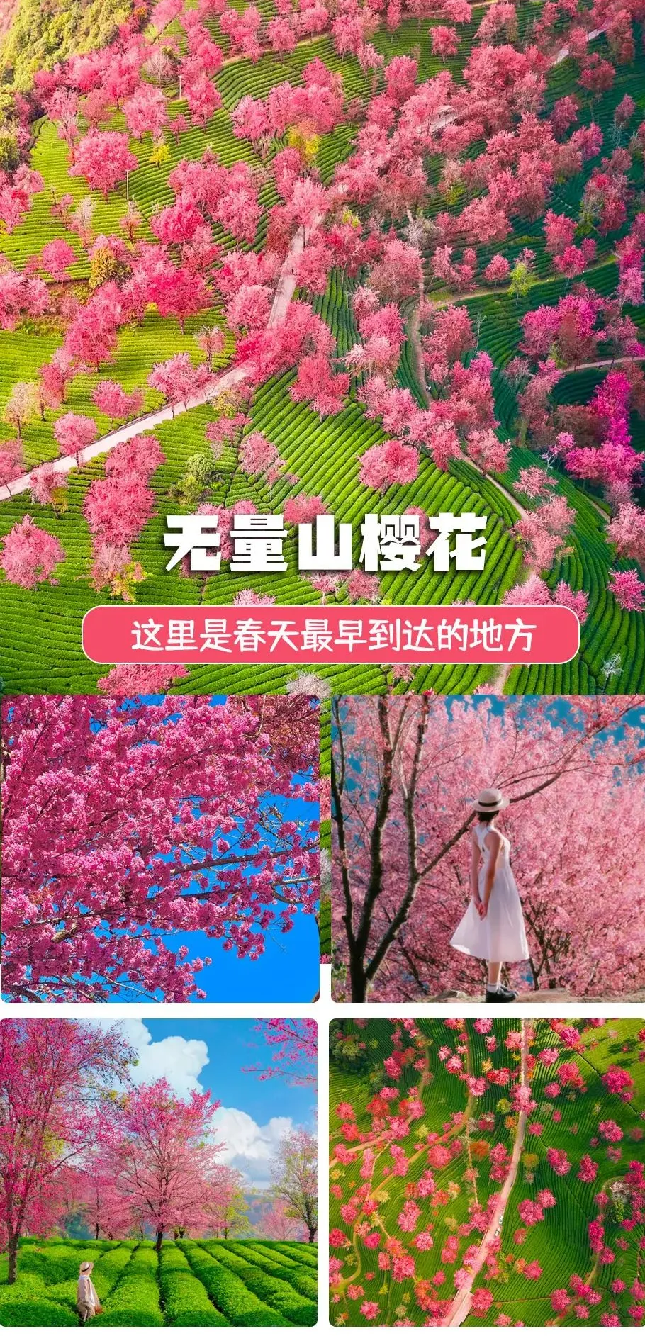 432f6abf729e64581a14c67955eb9a18-sz_2276414-1