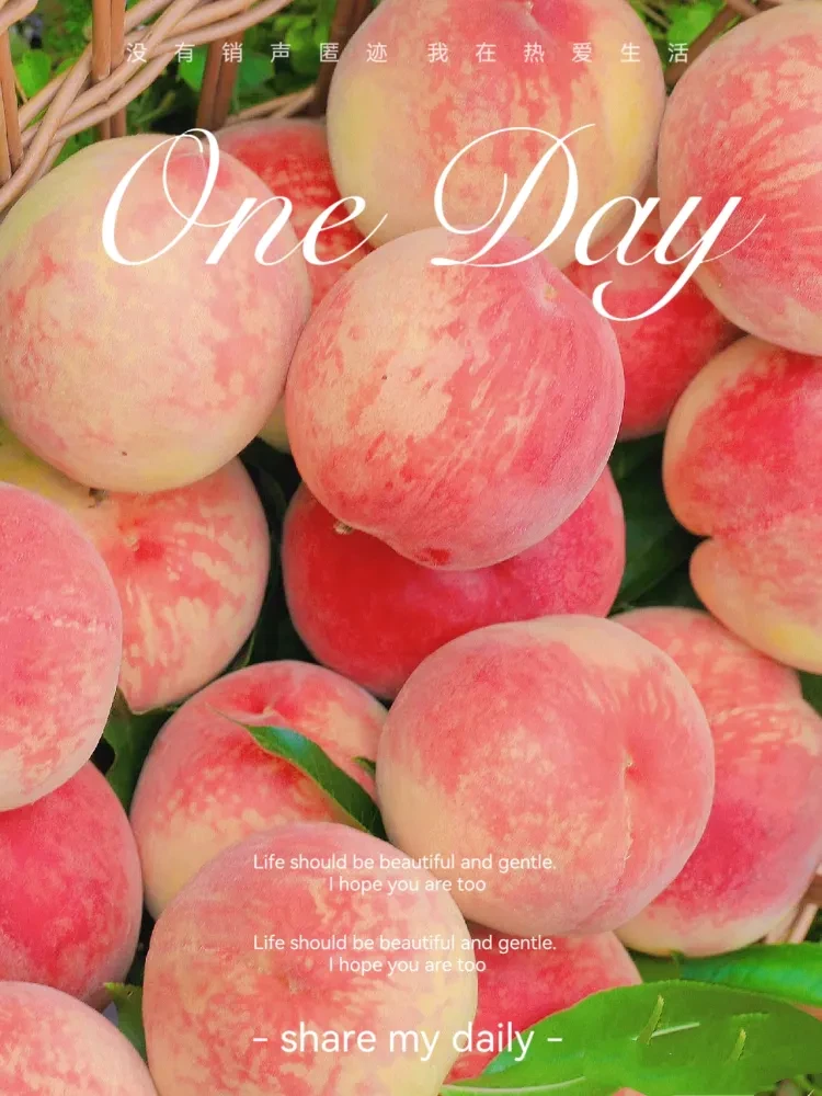 4496394ebebbb6d1a22caf320ab8b241-sz_1745267-1 4496394ebebbb6d1a22caf320ab8b241-sz_1745267-1