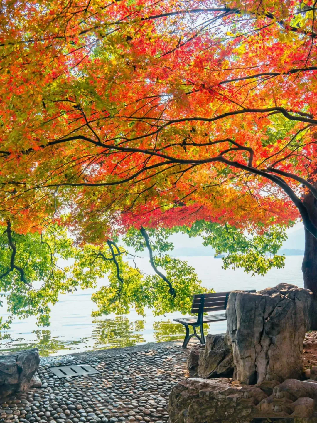 4571774682b62dcb228c80d05ab01a10-sz_960358-3 4571774682b62dcb228c80d05ab01a10-sz_960358-3