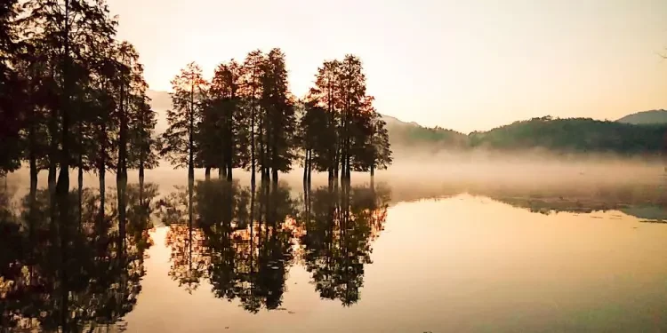 46c947af3152094deae22f319280c8cd-sz_87512