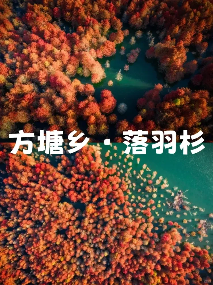 470473c7caf4c75fd2a47a05d075dcec-sz_3942700