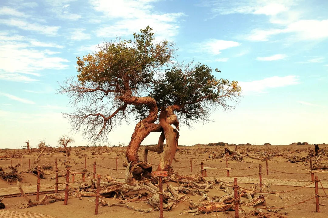 48cde993bb067dc88a28be55834146fc-sz_618914-1 48cde993bb067dc88a28be55834146fc-sz_618914-1